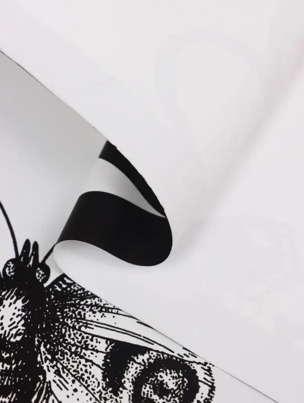 Плёнка флористическая для цветов &laquo;Бабочки и сердца&raquo;, белый с чёрным, 57&times;57 см