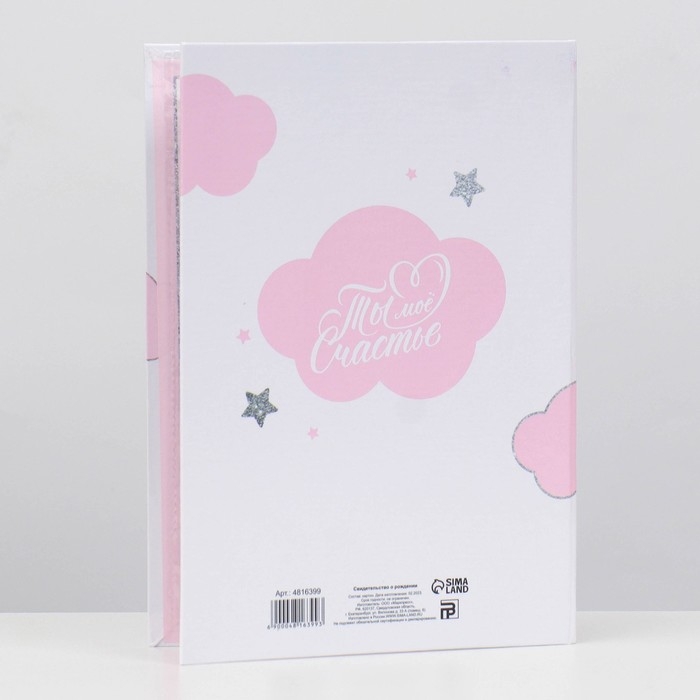 Папка для свидетельства о рождении «Малышка», А5 Папка для свидетельства о рождении «Малышка», А5