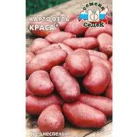 Семена Картофель  "Краса "0.02 г Семена Картофель  "Краса "0.02 г