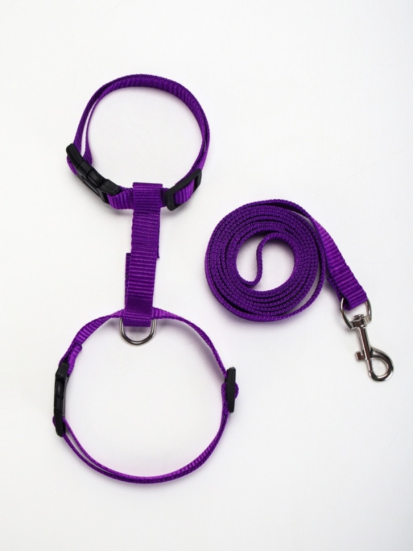 Комплект для кошек, ширина 1,5 см, ОШ 16,5-27 см, ОГ 21-35 см, поводок 120 см, фиолетовый