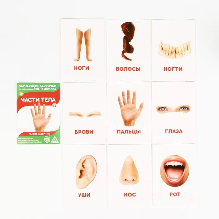 Обучающие карточки по методике Глена Домана «Расширяем кругозор», 10 штук, 2+, МИКС Обучающие карточки по методике Глена Домана «Расширяем кругозор», 10 штук, 2+, МИКС