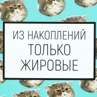 Ланч-бокс «Накопления», 500 мл