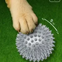 Игрушка для собак &laquo;Мяч массажный&raquo;, 9 см, пластикат, цвет МИКС