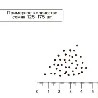 Семена Капуста белокочанная &laquo;Слава 1305 Лидер&raquo;, среднеспелая, 0.5 г, &laquo;Аэлита&raquo;