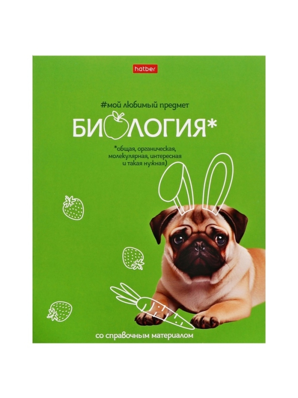 Комплект предметных тетрадей 48 листов, 12 предметов Hatber «Мой любимый предмет», обложка мелованный картон, ламинация Soft-touch, с интерактивным сп... Комплект предметных тетрадей 48 листов, 12 предметов Hatber «Мой любимый предмет», обложка мелованный картон, ламинация Soft-touch, с интерактивным сп...