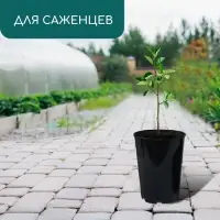 Горшок для рассады, для роз, 7 л, d=22 см, h=26 см, чёрный, Greengo