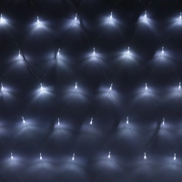 Гирлянда светодиодная хол бел,240LED(2х3м) прозр пров IP20 SW-XMAXIn-0003