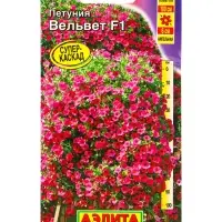 Семена цветов Петуния Вельвет F1 ампельная  (драже в пробирке) С. Cerny, Ц/П,4 шт.