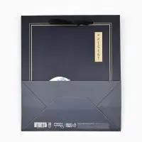 Пакет подарочный ламинированный, упаковка, &laquo;Present&raquo;, ML 23&times;27&times;11.5 см