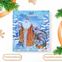 Пакет «Дед Мороз и Снегурочка», полиэтиленовый с вырубной ручкой, 41×51 см