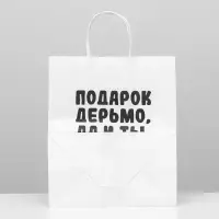 Пакет подарочный с приколами, крафт «Ты не очень», белый, 24 х 14 х 28 см