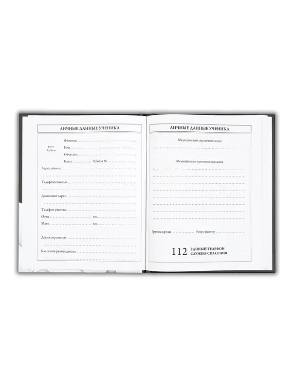 Дневник школьный для 5-11 класса, в твердой обложке, 48 л., Black