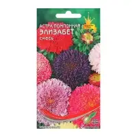 Семена цветов Астра помпонная "Элизабет" Дом семян, смесь, О,  100 шт Семена цветов Астра помпонная "Элизабет" Дом семян, смесь, О,  100 шт