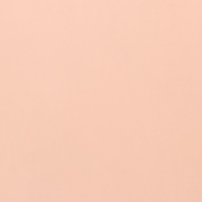 Пленка для цветов, матовая, пудровая, 0,57 х 10 м Пленка для цветов, матовая, пудровая, 0,57 х 10 м