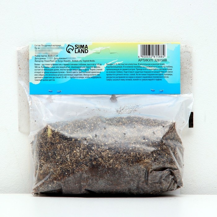 Лилия Азиатская "Перл Мелани", р-р 12/14, 3 шт,