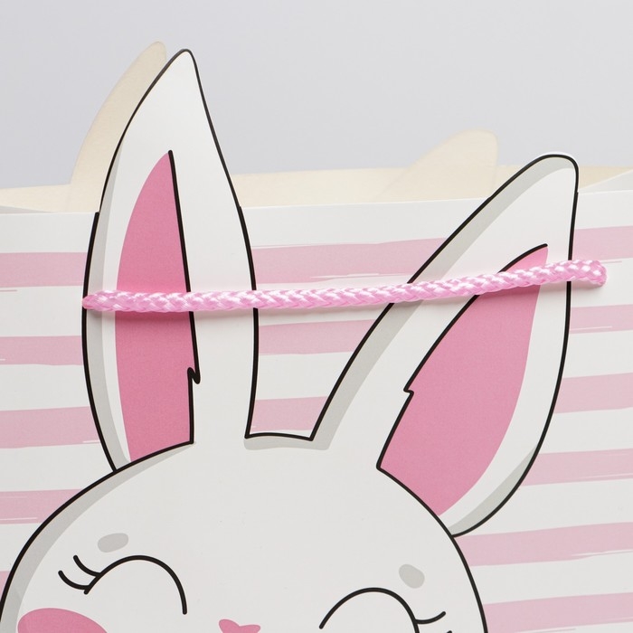 Пакет подарочный, упаковка, «Best day», 25 х 26 х 10 см Пакет подарочный, упаковка, «Best day», 25 х 26 х 10 см