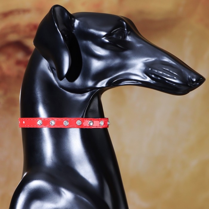 Ошейник с круглыми стразами,28 х 1 см, ОШ 21-25 см, искусств. кожа, красный Ошейник с круглыми стразами,28 х 1 см, ОШ 21-25 см, искусств. кожа, красный