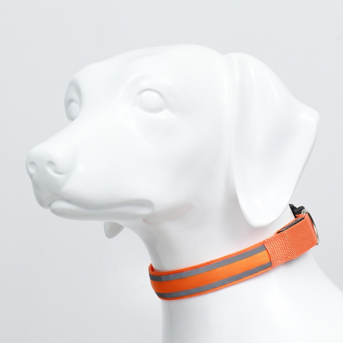 Ошейник с подсветкой Двойная полоса размер M, ОШ 40-48 х 2,5 см, 3 режима свечения оранжевый Ошейник с подсветкой Двойная полоса размер M, ОШ 40-48 х 2,5 см, 3 режима свечения оранжевый