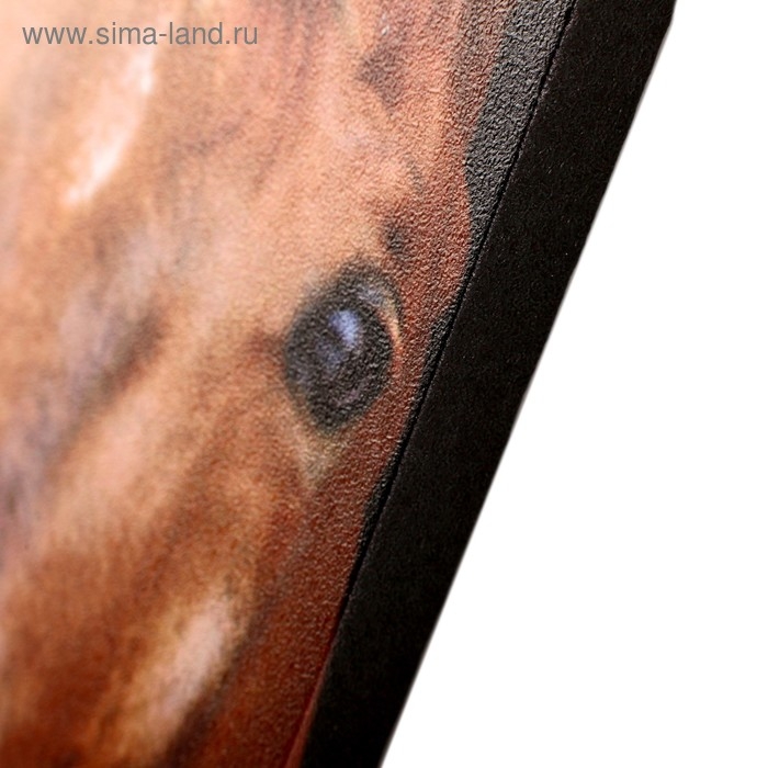 Модульная картина  Модульная картина "Три лошадки" (2-25х50, 30х60см) 60х80 см