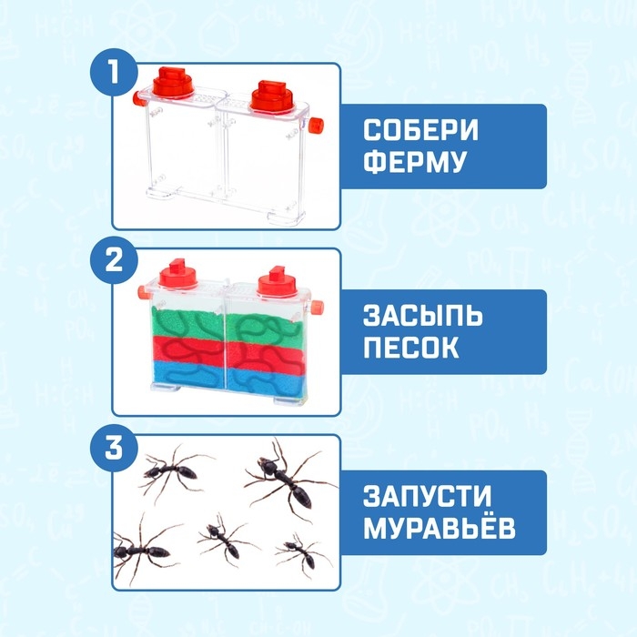 Набор для опытов «Муравьиная ферма» Набор для опытов «Муравьиная ферма»