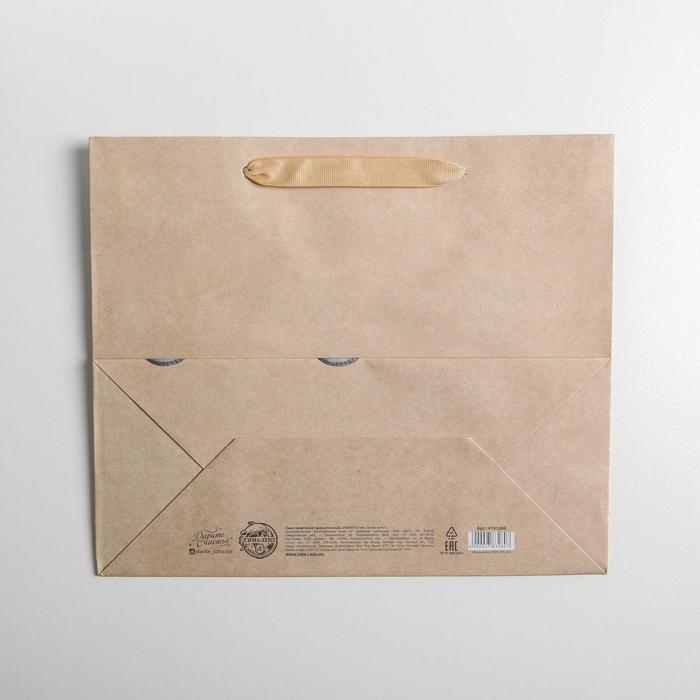 Пакет подарочный крафтовый горизонтальный, упаковка, «Present for you», ML 27 х 23 х 11,5 см Пакет подарочный крафтовый горизонтальный, упаковка, «Present for you», ML 27 х 23 х 11,5 см