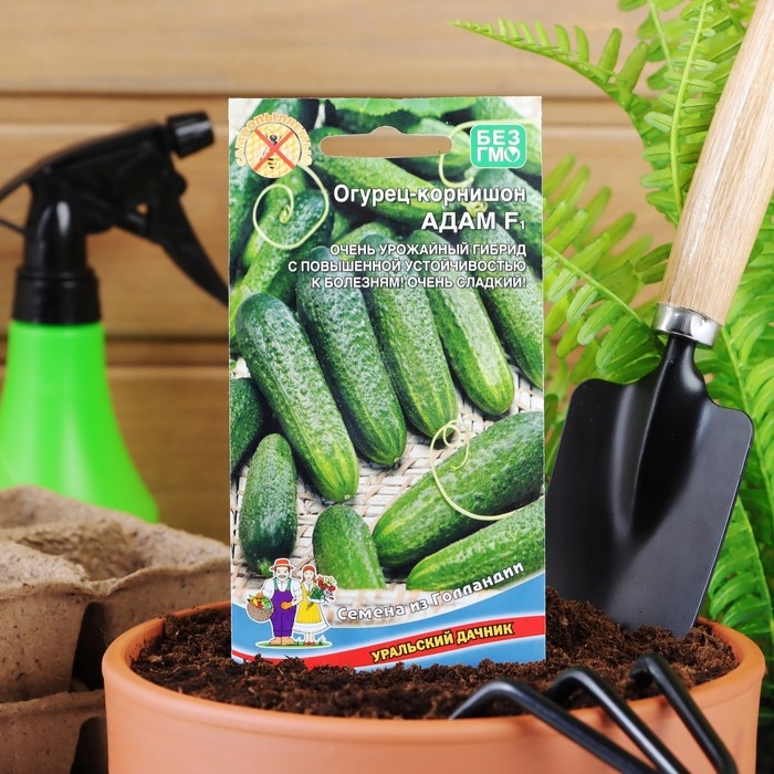 Семена Огурец Адам F1, 5 шт. Семена Огурец Адам F1, 5 шт.