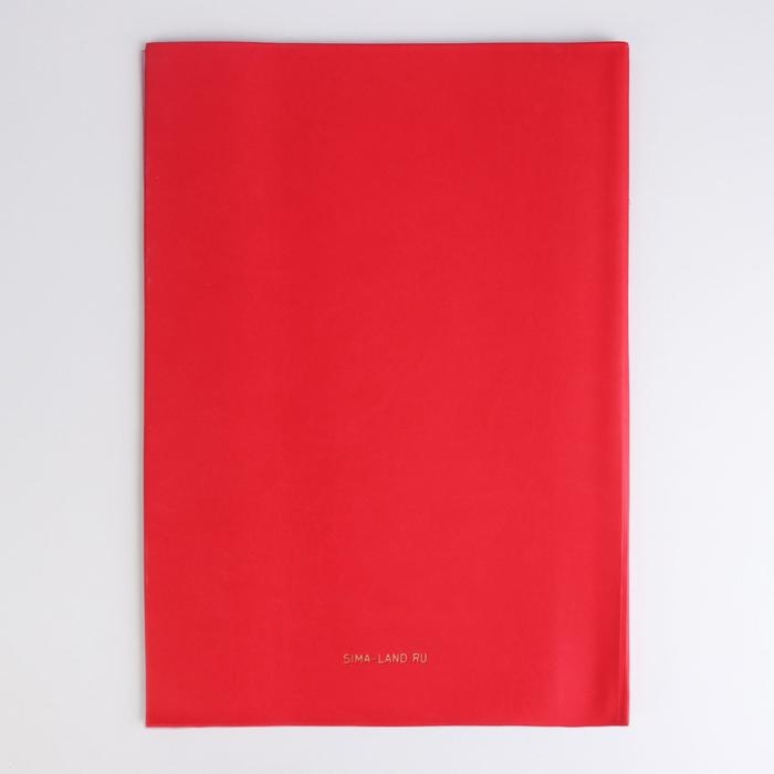 Папка для документов «Docs», 8 файлов А4 Папка для документов «Docs», 8 файлов А4