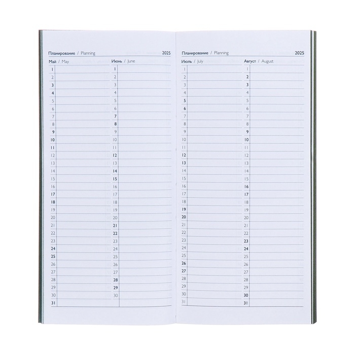 Еженедельник датированный 2025 года, 80х165 мм, 64 листа ESCALADA, мягкая обложка из искусственной кожи, блинтовое тиснение, блок 70 г/м², зелёный Еженедельник датированный 2025 года, 80х165 мм, 64 листа ESCALADA, мягкая обложка из искусственной кожи, блинтовое тиснение, блок 70 г/м², зелёный