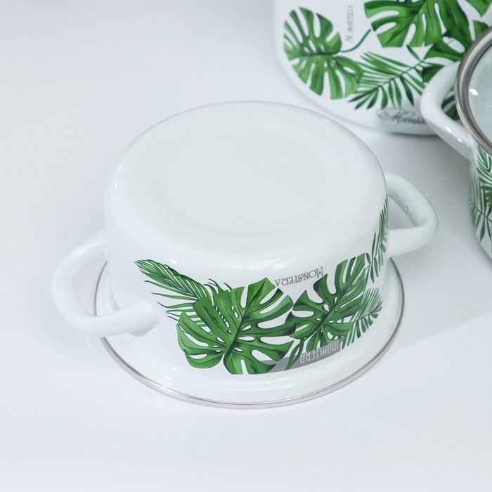 Набор эмалированных кастрюль «Монстера 5-1- Экстра», 3 предмета: 1,5 л, 2,3 л, 5 л, индукция