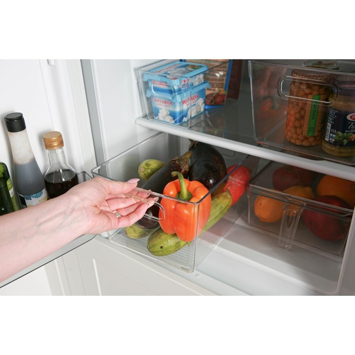 Контейнер для холодильника, 29×20,5×15,5 см