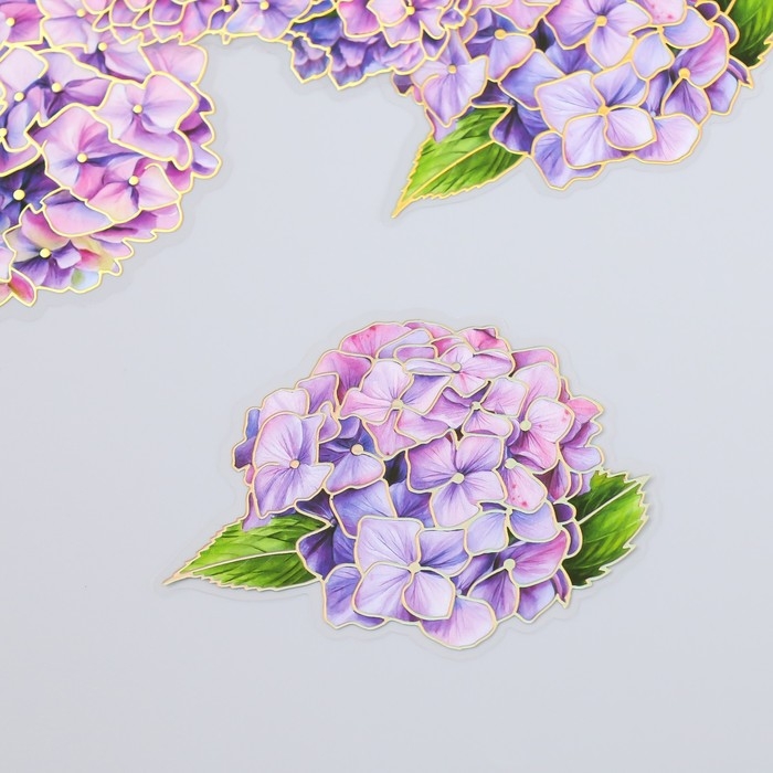 Наклейки для творчества "Гортензии" набор 10 шт 0,2х8,5х13,3 см