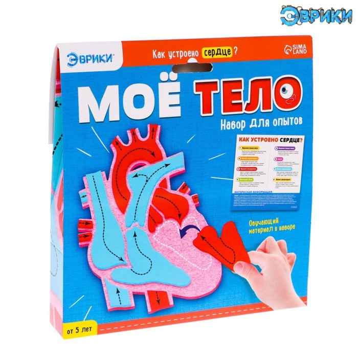 Набор для опытов «Моё тело», сердце Набор для опытов «Моё тело», сердце