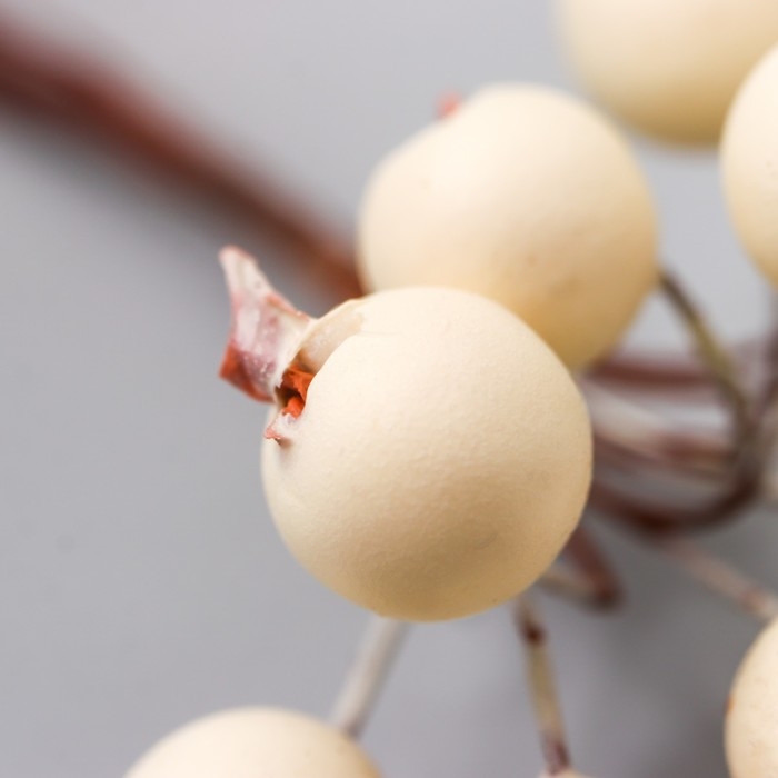 Декор для творчества Декор для творчества "Ягодки белые" 1 букет=10 ягод d=1 см 10 см