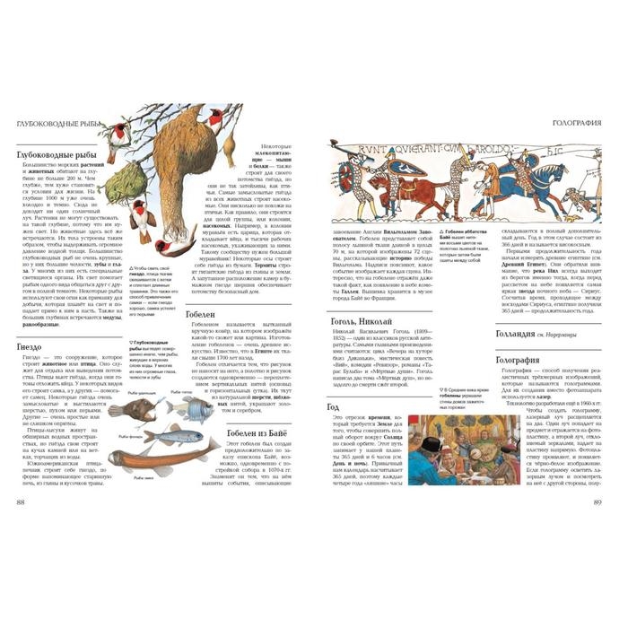 Я знаю всё! Я знаю всё!