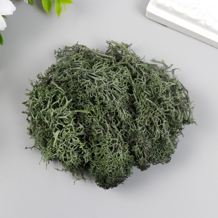 Мох искусственный Мох искусственный "Хаки" 10 гр