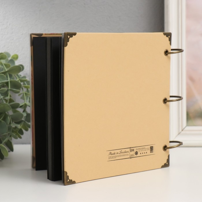 Фотоальбом на кольцах 30 листов Фотоальбом на кольцах 30 листов "Кустовые розы" чёрные листы 18х18 см