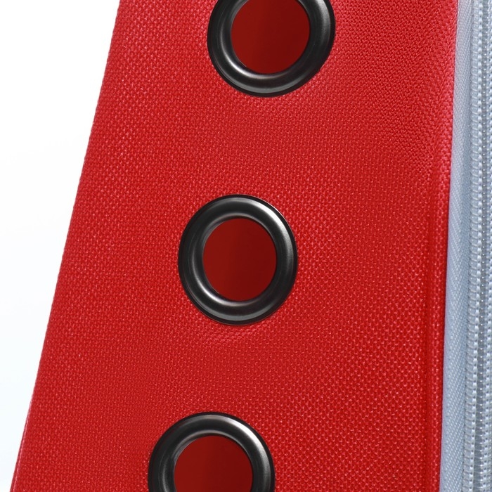 Рюкзак для переноски кошек, прозрачный, 32 х 28 х 42 см, красный Рюкзак для переноски кошек, прозрачный, 32 х 28 х 42 см, красный