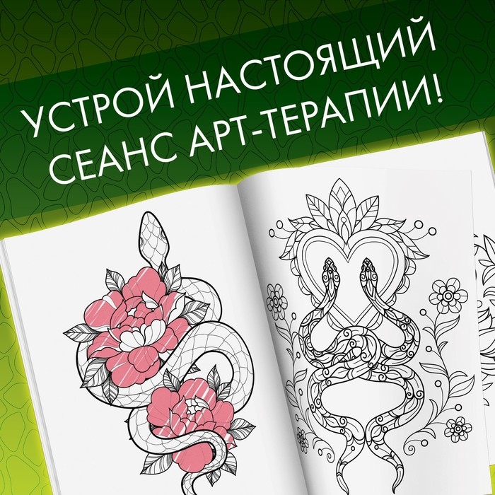 Раскраска «Прекрасные и опасные змеи», 20 × 28, 32 раскраски, формат А4 Раскраска «Прекрасные и опасные змеи», 20 × 28, 32 раскраски, формат А4