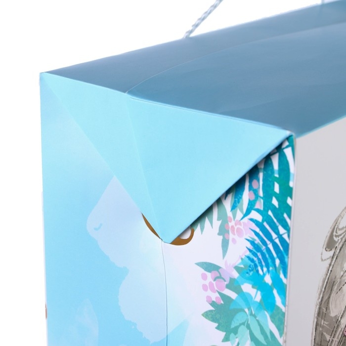 Пакет-коробка, 40 х 30 х 15 см  Пакет-коробка, 40 х 30 х 15 см "Journey", Холодное сердце