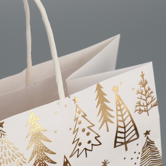 Пакет подарочный новогодний крафтовый «Новогодняя пора», 22 х 25 х 12 см, Новый год Пакет подарочный новогодний крафтовый «Новогодняя пора», 22 х 25 х 12 см, Новый год