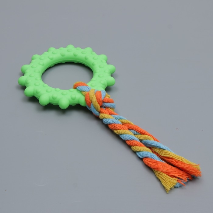 Игрушка жевательная с канатом Игрушка жевательная с канатом "Кольцо с хвостом", зелёная