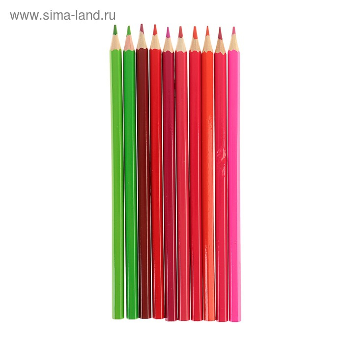 Карандаши 50 цветов, в металлическом пенале, корпус шестигранный, заточенные Карандаши 50 цветов, в металлическом пенале, корпус шестигранный, заточенные