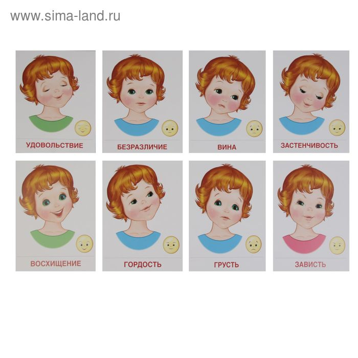 Демонстрационные картинки  Демонстрационные картинки "Чувства и эмоции" 16 картинок с текстом, 173х220мм