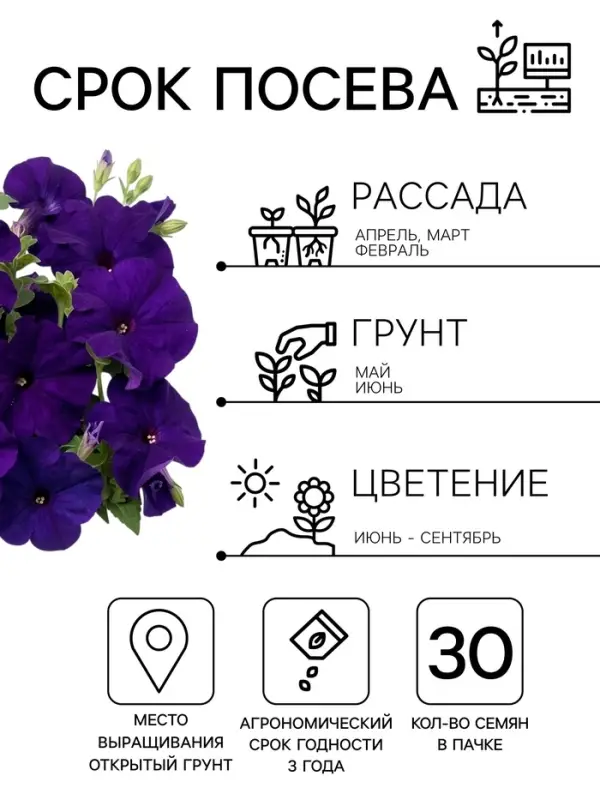 Семена цветов Петуния грандифлора &laquo;Аладдин&raquo; синяя, 30 шт.