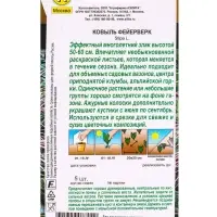 Набор семян Ковыль "Фейерверк", 5 шт. Набор семян Ковыль "Фейерверк", 5 шт.