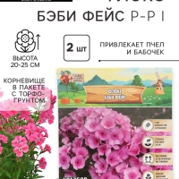 Флокс «Бэби Фейс» корневище в пакете с торфогрунтом, р-р I, 2 шт.