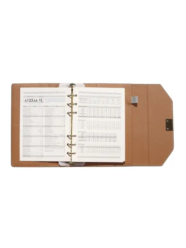 Органайзер на кольцах, C6, с клапаном, 80л, линия, к/зам, Серый Органайзер на кольцах, C6, с клапаном, 80л, линия, к/зам, Серый