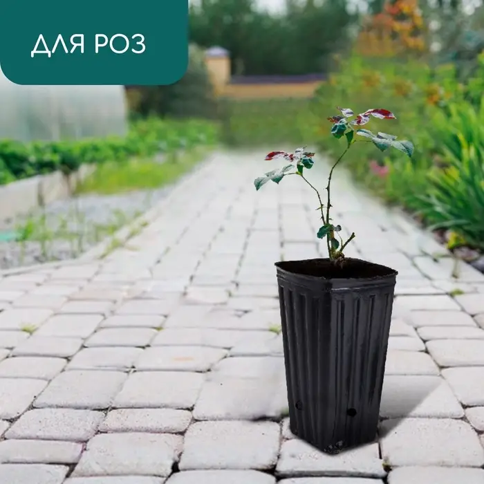 Пакет для рассады, 1,5 л, 11 × 11 см, h = 20 см, полиэтилен, чёрный, Greengo