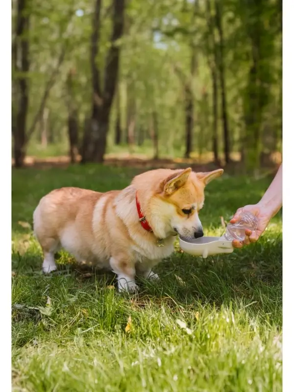 Поилка прогулочная, 300 мл, фигурная, с мягким носиком