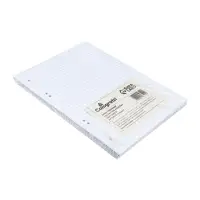 Сменный блок для тетрадей на кольцах А5, 120 листов, в клетку, Calligrata, блок офсет № 160 г/м&sup2;, белизна 100%